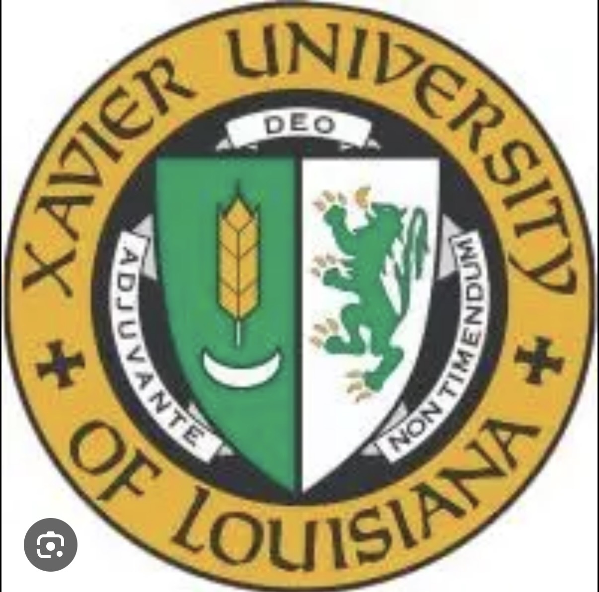 College Logo